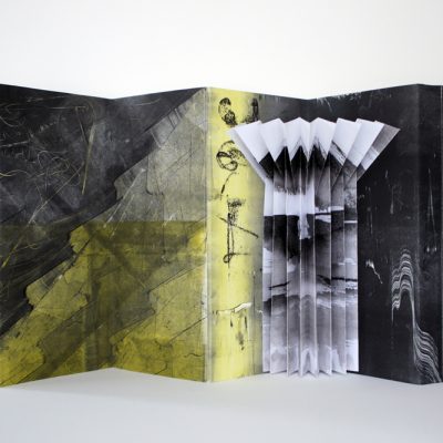 23x10.5 monotypes assembled into a concertina structure, 2013