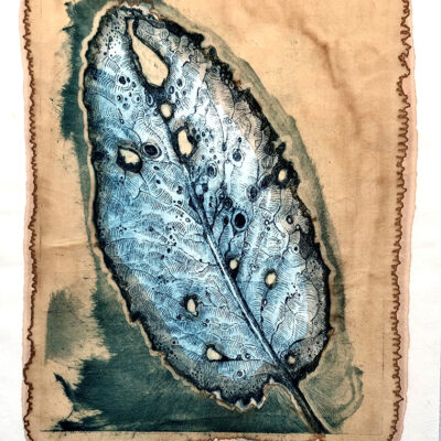 16 x 12 Copperplate Etching on Muslin with Acorn and Rumex Seed